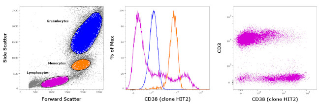 CD38 Antibody