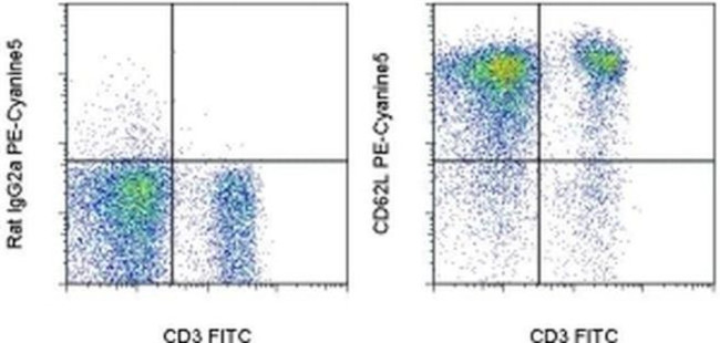 CD62L (L-Selectin) Antibody in Flow Cytometry (Flow)