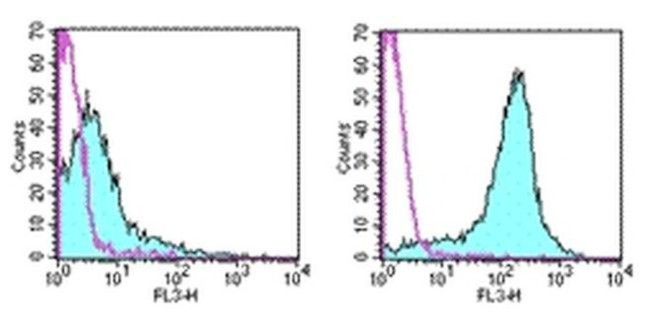 CD69 Antibody in Flow Cytometry (Flow)