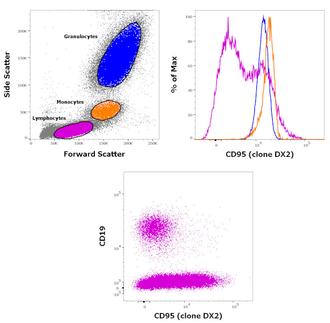 CD95 (APO-1/Fas) Antibody in Flow Cytometry (Flow)