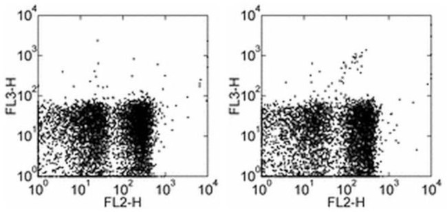 TCR gamma/delta Antibody in Flow Cytometry (Flow)