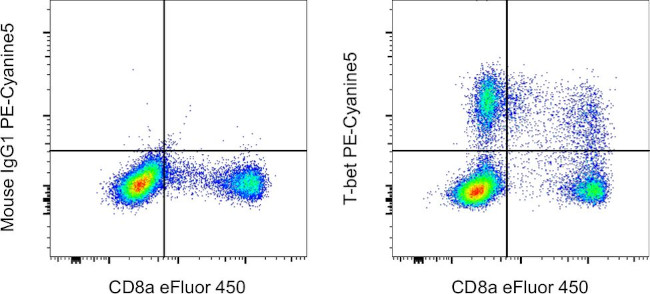 T-bet Antibody in Flow Cytometry (Flow)