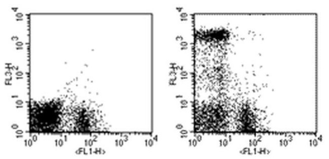 Ly-6G/Ly-6C Antibody in Flow Cytometry (Flow)