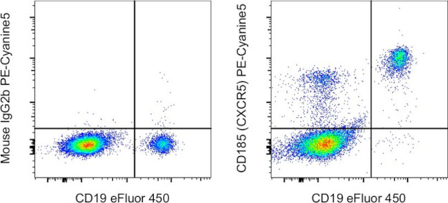 CD185 (CXCR5) Antibody in Flow Cytometry (Flow)