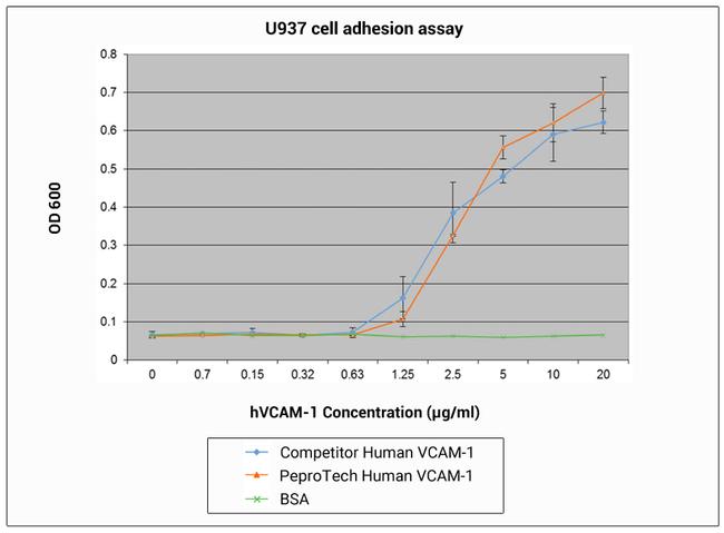 Human VCAM-1 Protein in Functional Assay (FN)