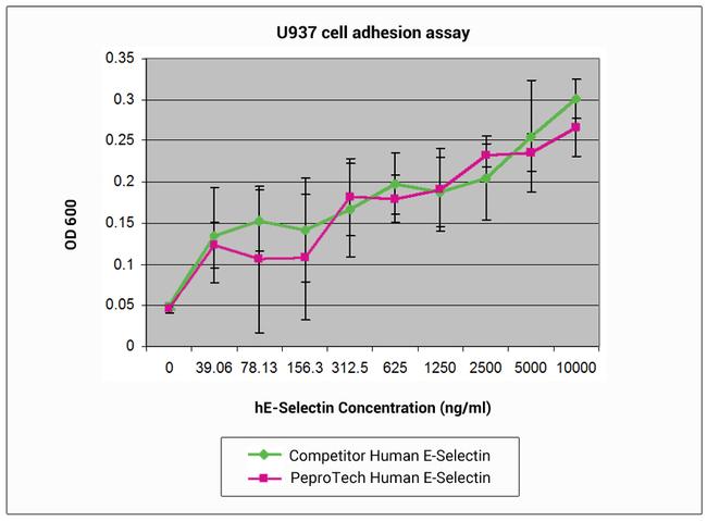 Human E-selectin (CD62E) Protein in Functional Assay (FN)