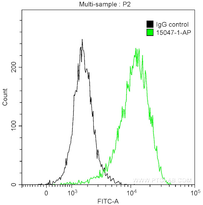 Thymidylate synthase Antibody in Flow Cytometry (Flow)