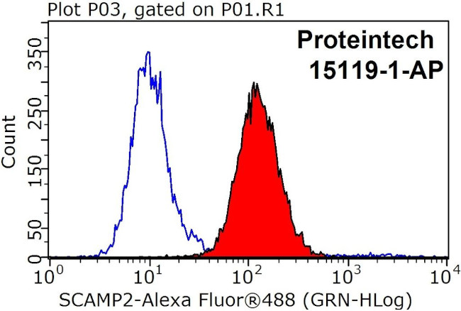 SCAMP2 Antibody in Flow Cytometry (Flow)