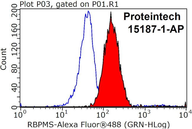 RBPMS Antibody in Flow Cytometry (Flow)