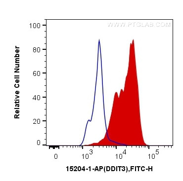 CHOP Antibody in Flow Cytometry (Flow)