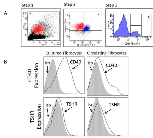 CD45 Antibody in Flow Cytometry (Flow)