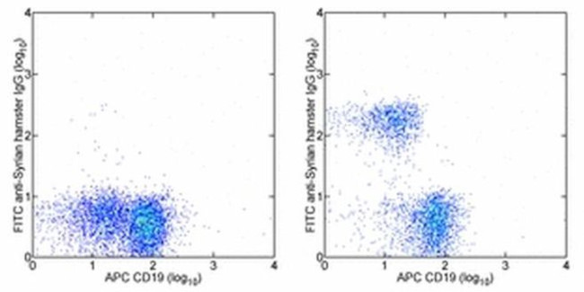 CD3e Antibody in Flow Cytometry (Flow)