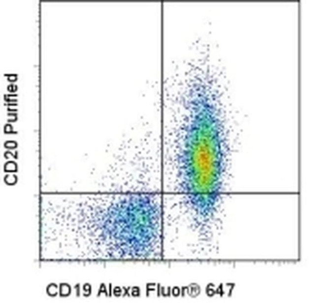 CD20 Antibody in Flow Cytometry (Flow)