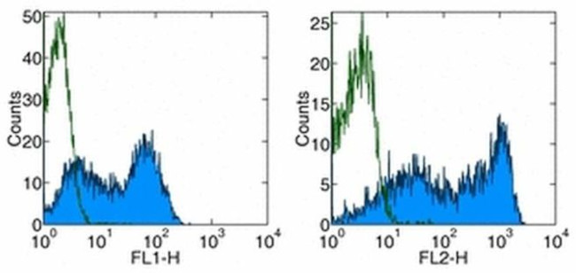 CD62L (L-Selectin) Antibody in Flow Cytometry (Flow)