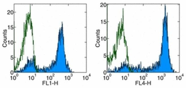 CD62L (L-Selectin) Antibody in Flow Cytometry (Flow)