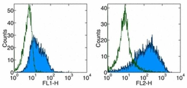 CD80 (B7-1) Antibody in Flow Cytometry (Flow)