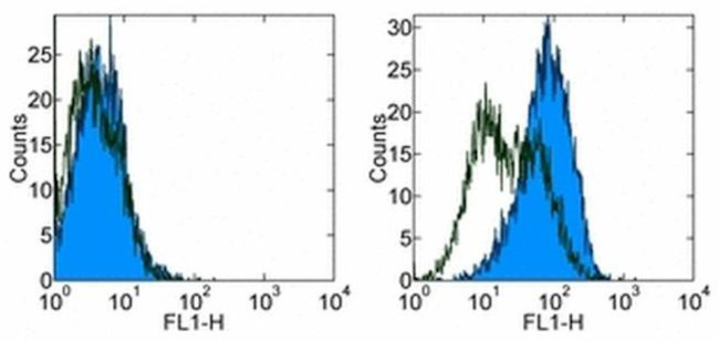 CD86 (B7-2) Antibody in Flow Cytometry (Flow)