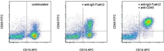 Mouse IgG (H+L) Secondary Antibody in Flow Cytometry (Flow)