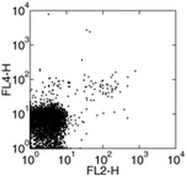 KLRG1 Antibody in Flow Cytometry (Flow)