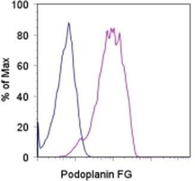 Podoplanin Antibody in Flow Cytometry (Flow)