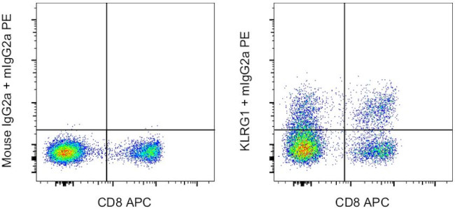 KLRG1 Antibody in Flow Cytometry (Flow)