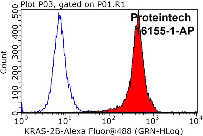 KRAS-2B Antibody in Flow Cytometry (Flow)