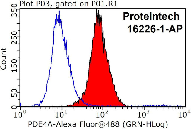 PDE4A Antibody in Flow Cytometry (Flow)