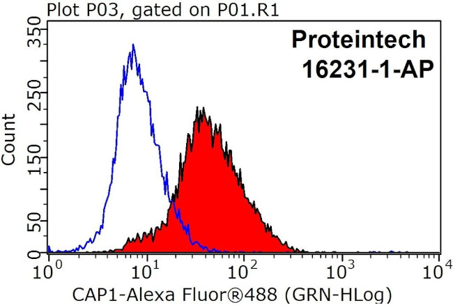 CAP1 Antibody in Flow Cytometry (Flow)