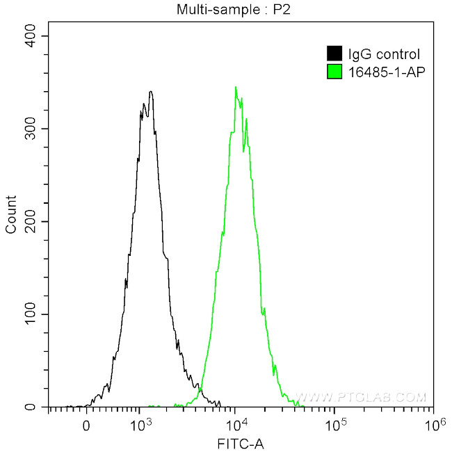 CDC25C Antibody in Flow Cytometry (Flow)