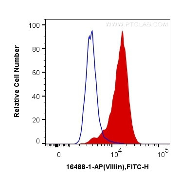 Villin Antibody in Flow Cytometry (Flow)