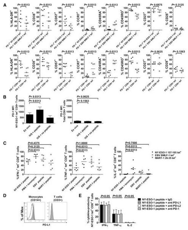 CD273 (B7-DC) Antibody in Flow Cytometry (Flow)