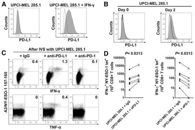 CD274 (PD-L1, B7-H1) Antibody in Flow Cytometry (Flow)