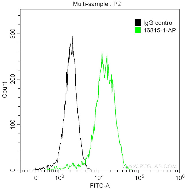 p130Cas Antibody in Flow Cytometry (Flow)