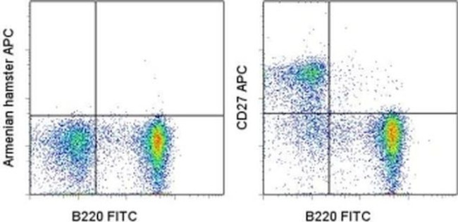 CD27 Antibody in Flow Cytometry (Flow)