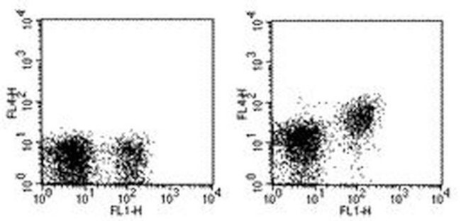 CD28 Antibody in Flow Cytometry (Flow)