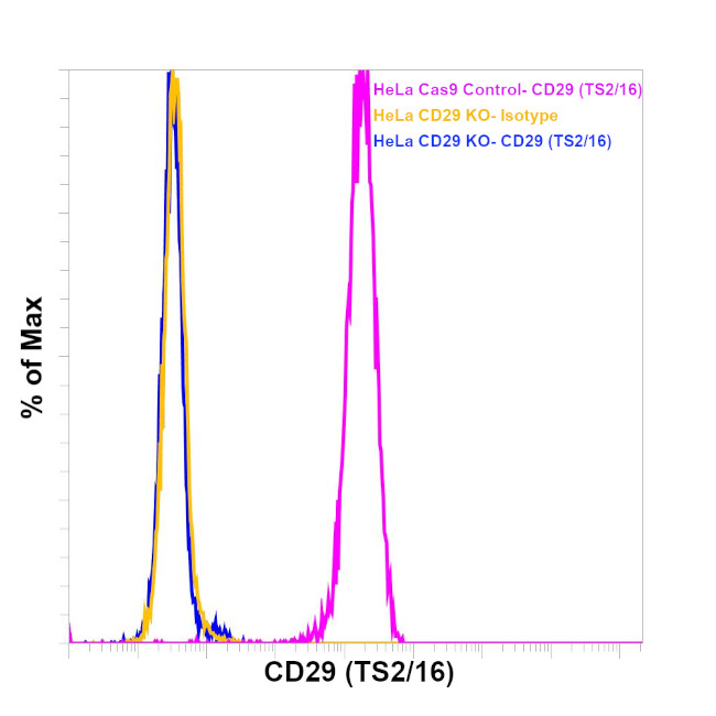 CD29 (Integrin beta 1) Antibody