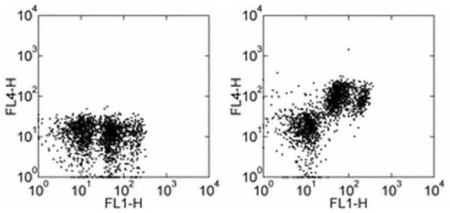 CD31 (PECAM-1) Antibody in Flow Cytometry (Flow)