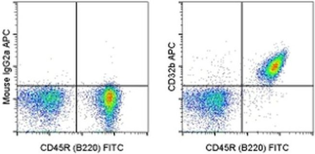 CD32b Antibody in Flow Cytometry (Flow)