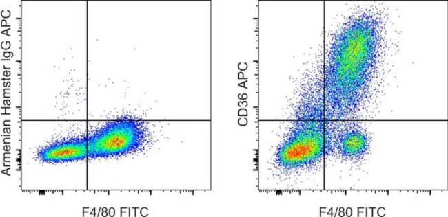 CD36 Antibody in Flow Cytometry (Flow)