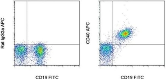 CD40 Antibody in Flow Cytometry (Flow)