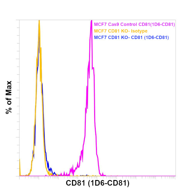 CD81 Antibody