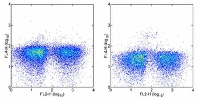 CD123 Antibody in Flow Cytometry (Flow)