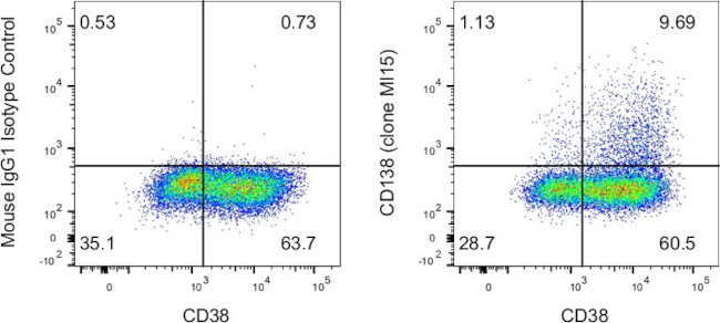 CD138 (Syndecan-1) Antibody