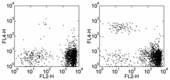 CD193 (CCR3) Antibody in Flow Cytometry (Flow)