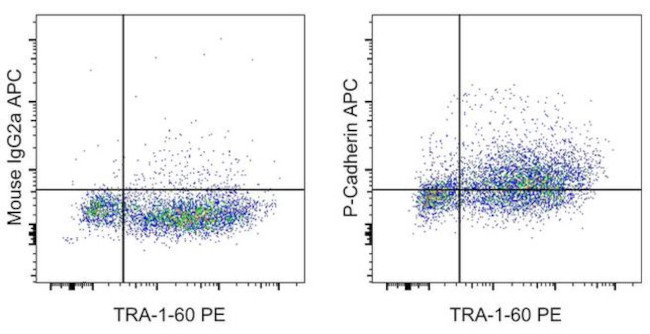 P-Cadherin Antibody in Flow Cytometry (Flow)