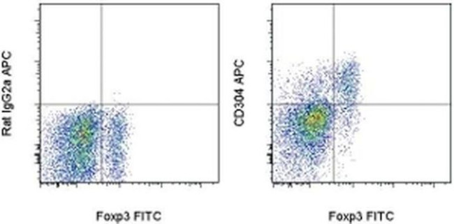 CD304 (Neuropilin-1) Antibody in Flow Cytometry (Flow)