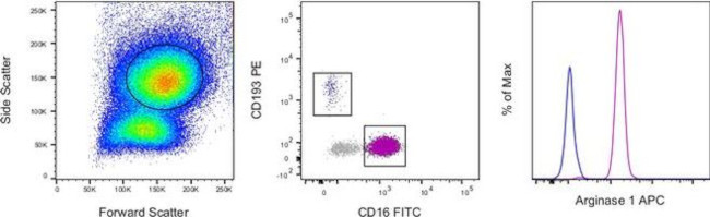 Arginase 1 Antibody in Flow Cytometry (Flow)