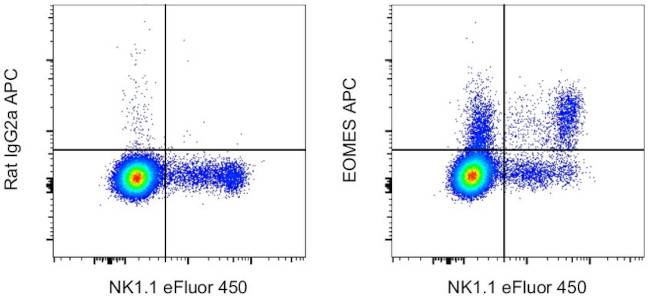 EOMES Antibody in Flow Cytometry (Flow)