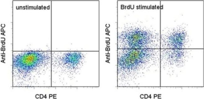 BrdU Antibody in Flow Cytometry (Flow)