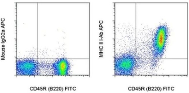 MHC Class II I-Ab Antibody in Flow Cytometry (Flow)